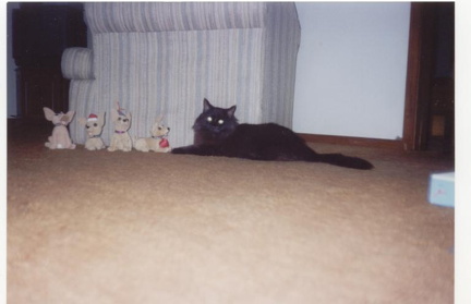 19